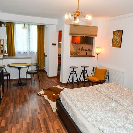 Gya Residence براشوف المظهر الخارجي الصورة